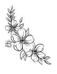 Background with flowers Silhouette on White Background