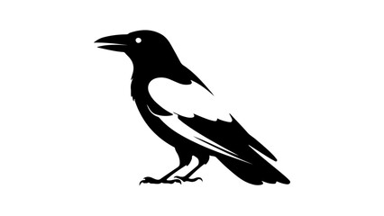 simple crow vector illustration with white part in center