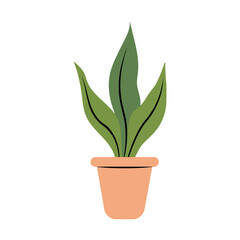 Houseplant in a pot, vector illustration isolated on white background