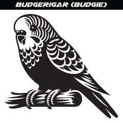 Budgerigar (Budgie) silhouette vector illustration design isolated on a white background.
