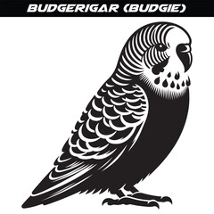 Budgerigar (Budgie) silhouette vector illustration design isolated on a white background.
