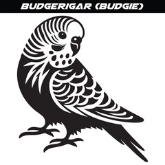 Budgerigar (Budgie) silhouette vector illustration design isolated on a white background.
