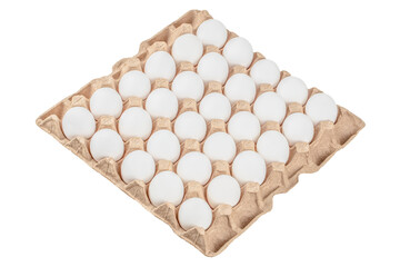 White chicken eggs in the cardboard egg tray with rooms for thirty eggs isolated on white background