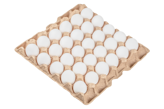 White chicken eggs in the cardboard egg tray with rooms for thirty eggs isolated on white background