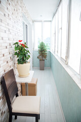 Cozy indoor balcony with plants and minimalist furniture in bright natural light