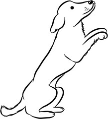Dog. Domestic animal. Hand drawn vector isolated doodle illustration 