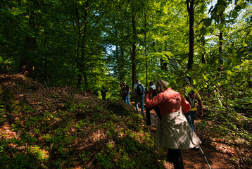 Naklejka premium Wandergruppe auf dem Kirkeler Tafelweg im Saarland