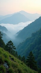 Fototapeta premium Foggy morning on the mountain with a sense of stillness, light, quiet