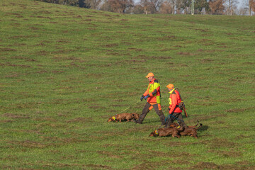Auf dem Weg zum Treiben