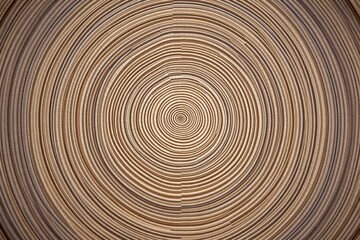 Fototapeta premium Circular abstract wooden texture with concentric patterns on a light brown background.