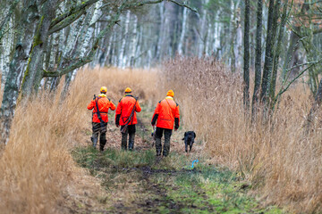 Jagdhelfer im Revier