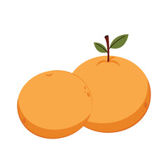 Mandarin orange on white background vector - illustration. Chinese New Year Mandarin Orange.