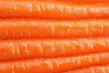 Macro close-up of vibrant carrot skin and roots, fibers detailed on plain background