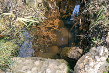 trench clogged with garbage