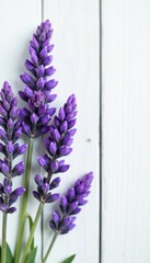 Obraz premium Lavender flowers with subtle colors and soft textures against a white wooden background, subtle, grain