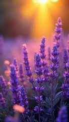 Lush lavender background with golden yellow and orange hues, foliage, botanical, nature