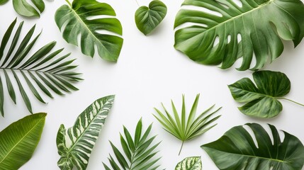 Obraz premium A stunning collection of various tropical leaves arranged artfully on a white background, showcasing vibrant greens and intricate textures ideal for nature-inspired designs.