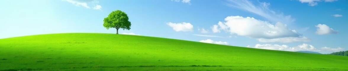 A lone cloud casts a shadow on a lush meadow of grass, lonely, clouds, nature