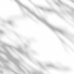 Naklejka premium Tree Branches Shadows Gobo Effect on a transparent background, 4k UHD, 1:1 ratio, square. Realistic shadows for multiply Blend Mode for mockups. Light casting on a surface. 30% opacity pure black.