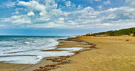 Panorama on the beach at Marina di Castagneto Carducci on a stormy day Tuscany Italy