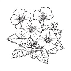 Petunia Flower Bunch Drawing , Hand-Drawn Floral Line Art