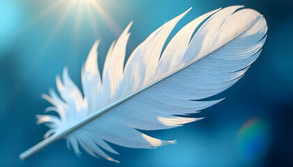 Naklejka premium white feather on blue background