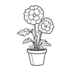 Flower Pot Line Drawing with Double Bloom , Indoor Plant Illustration