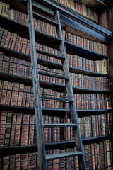 Historic bookshelves and wooden ladder in the Marsh Library, Dublin