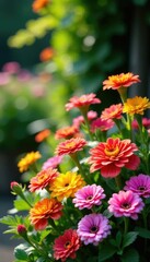 Colorful arrangement of flowers and foliage in a sunny spot, blooms, floral,