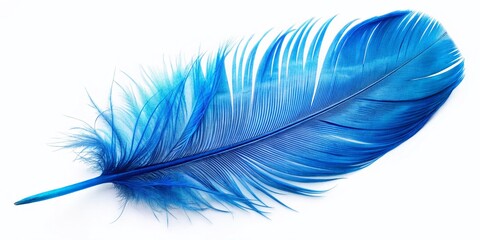 Fototapeta premium Single Blue Bird Feather Isolated on White, High-Resolution Stock Photo