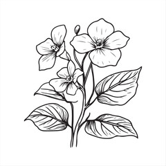 Hand Drawn Botanical Flower Sketch isolated vector Illustration on white background 
