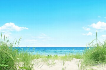 Serene Coastal Scene with Grass and Clear Blue Sky over Ocean