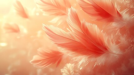 Light pink feathers float in sunlit air, background bokeh; perfect for serenity, peace, or dream themes