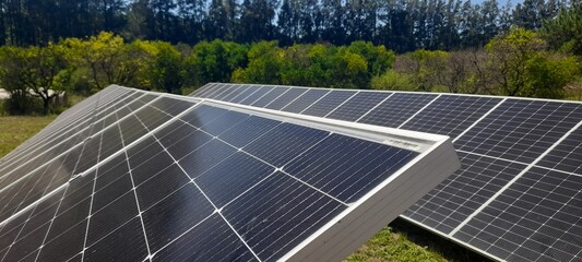 Paneles solares. Energía renovable