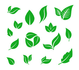 Green leaf icons set. Leaves icon on isolated background. Collection green leaf. 