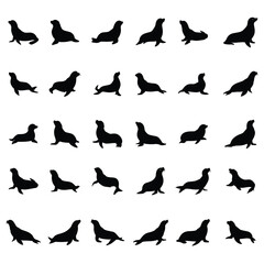 Seal vector silhouette illustration.Vector illustration of Sea Lion Silhouette isolated on white background.