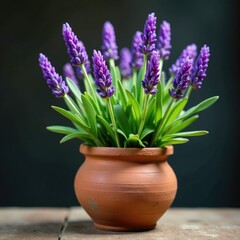 Fototapeta premium Fragrant lavender blooms in a weathered earthenware pot, nature, vintage