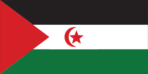 Sahrawi Arab Flag with Actual Measurement
