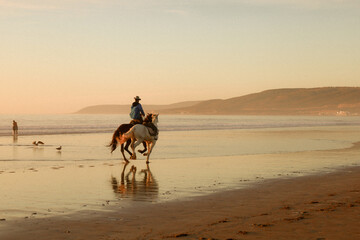 cavalo a correr em Marrocos © catarina