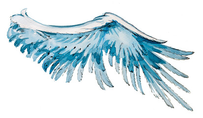 Wing painting isolated on a white background. Fantasy concept illustration.