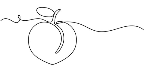 Peach fruit in continuous line art drawing style. Simple black sketch made of one line isolated on white background, Apricot vector illustration. One line drawing art illustration.
