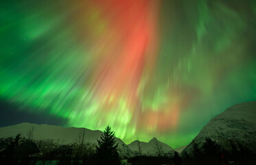 Auroras over Alaska