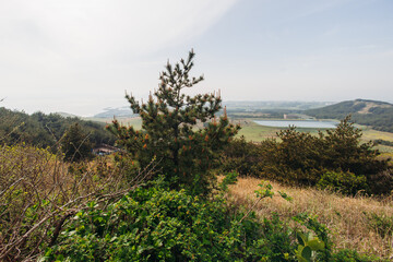 Udo Island, Jeju Island province, South Korea, Jeju-do, panoramic aerial view of coastline sea landscape in a sunny day, U-do Island, Soseom cow island, Jeju-si