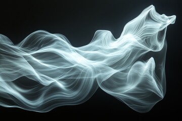 Fototapeta premium Abstract Ethereal Smoke on Black Background