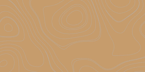 Abstract lines background topography design contour map relief land patterns monochrome image cartography background, mountain terrain curve lines stylized height of abstract map texture background. 