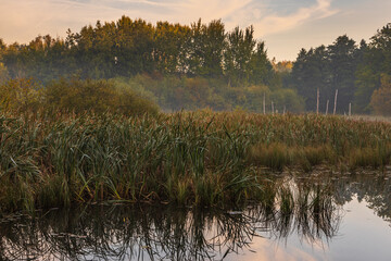 The backwaters of the Maria Spring. Gdynia, Poland.