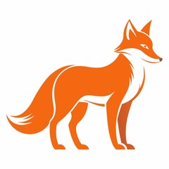 Obraz premium red fox isolated on white