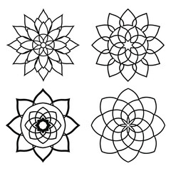 Elegant Organic Mandala Vector Illustration