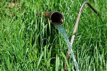 Clear Water Flowing from a Metal Pipe Against Green Grass