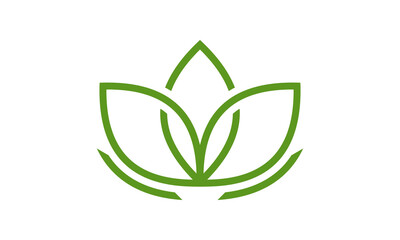 Leaf Leaf and Health